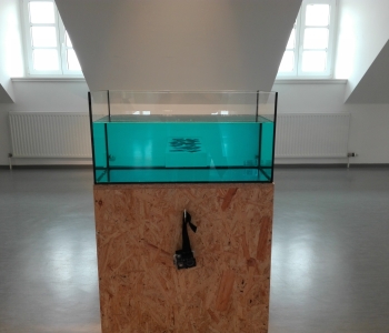 Ausstellungsansicht Immerse