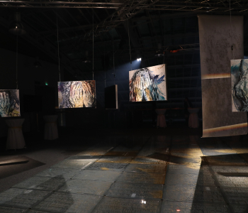 HUMAN_gold Eröffnung