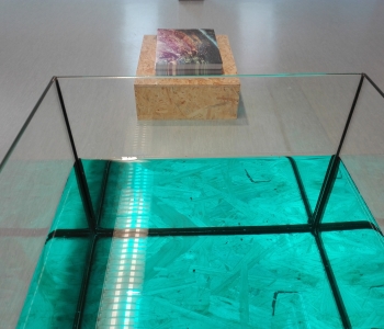 Ausstellungsansicht Immerse