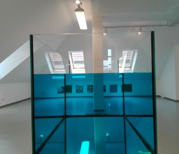 Ausstellungsansicht Immerse