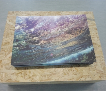 Ausstellungsansicht Immerse