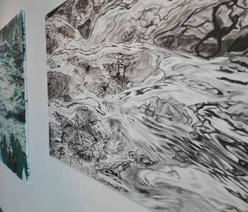 Ausstellungsansicht Immerse