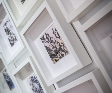 Animal Sociale by Renate Billensteiner