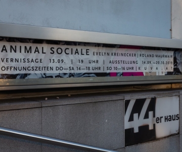 Animal Sociale by Renate Billensteiner